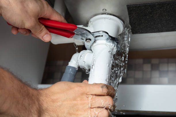 Best Sewage cleanup and water damage restoration  in Lathrop, MO