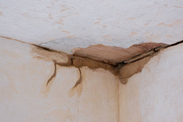 Best Water damage restoration specialists  in Lathrop, MO