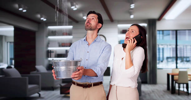 Best Sewage cleanup and water damage restoration  in Lathrop, MO