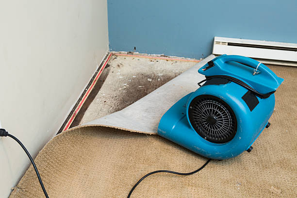 Best Flood damage cleanup  in Lathrop, MO